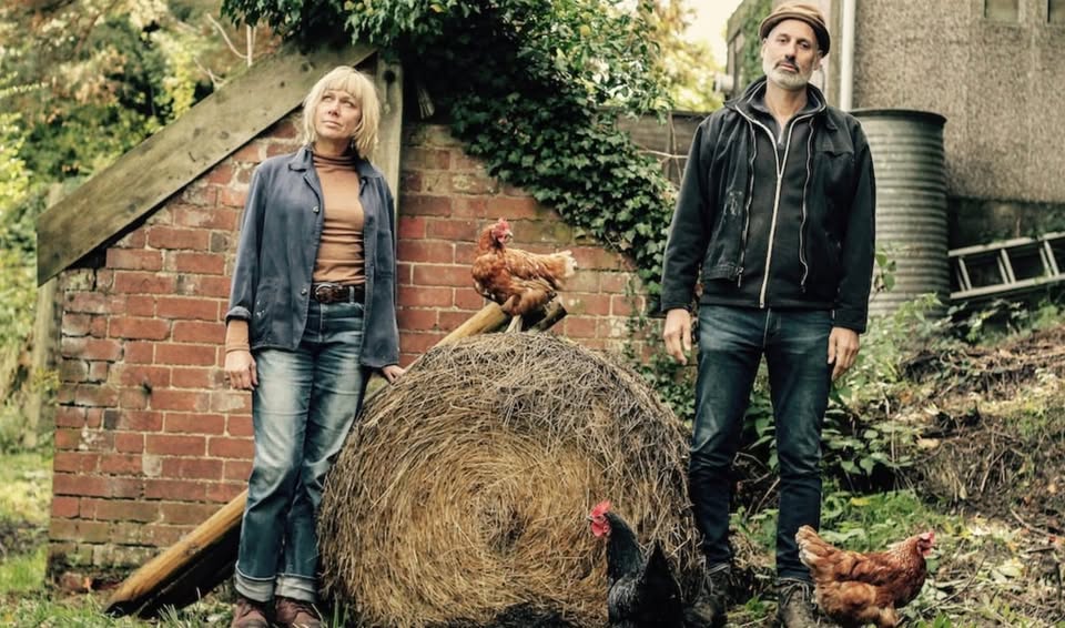 Alula Down + Black Brunswicker